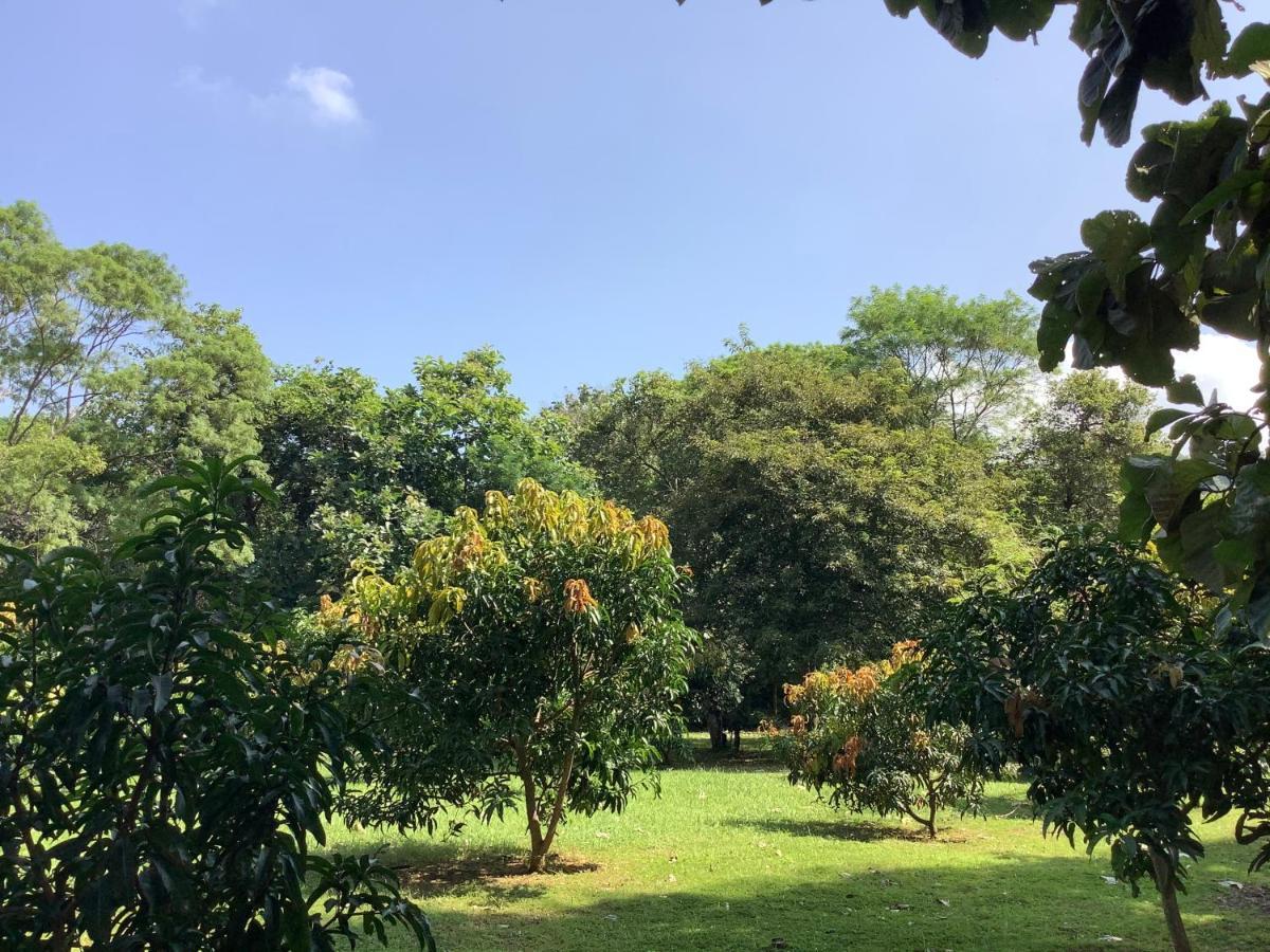 Mind Body And Soul * Dambulla