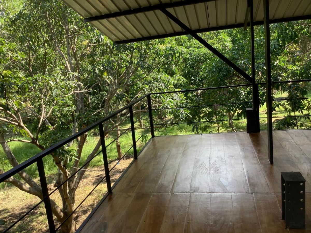 Mind Body And Soul * Dambulla