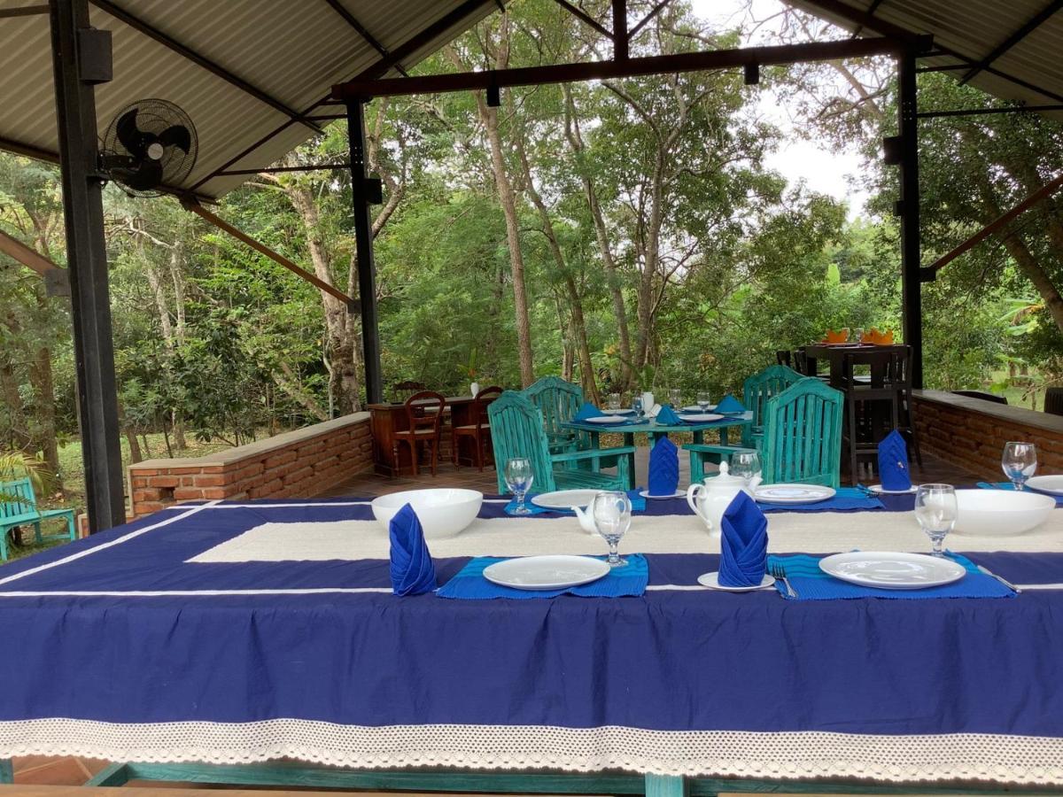 Hotel Mind Body And Soul Dambulla