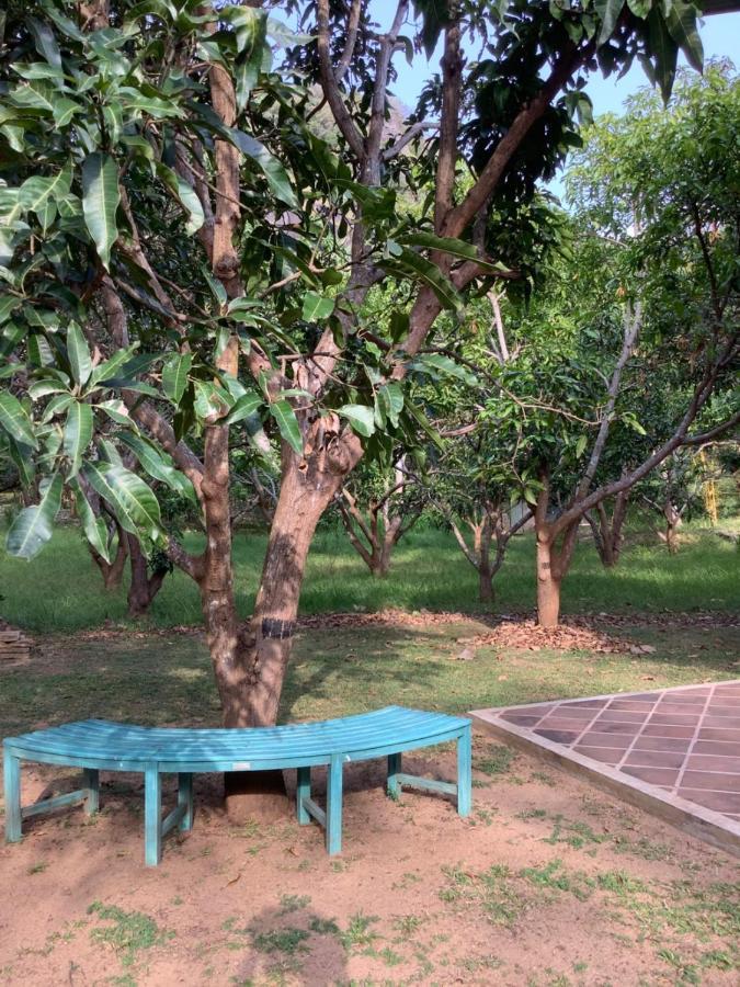 Hotel Mind Body And Soul Dambulla